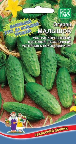 Огурец Малышок®  Уральский Дачник