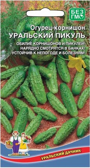 Огурец Уральский Пикуль Уральский Дачник