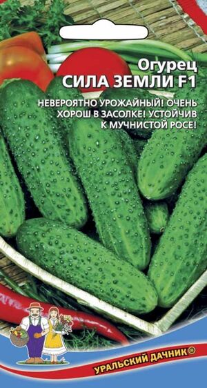 Огурец Сила Земли F1 Уральский Дачник