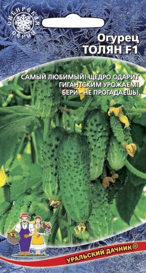Огурец Толян F1 Уральский Дачник