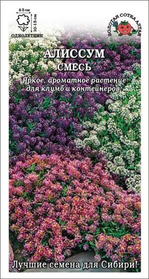 Алиссум Смесь Золотая Сотка Алтая