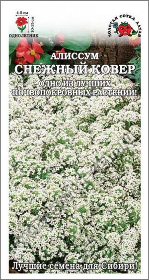 Алиссум Снежный Ковер Золотая Сотка Алтая