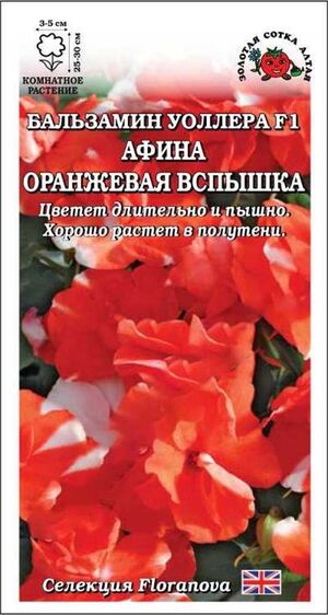 Бальзамин Афина Оранжевая Вспышка Золотая Сотка Алтая