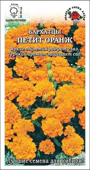 Бархатцы (Тагетес) Петит Оранж Золотая Сотка Алтая