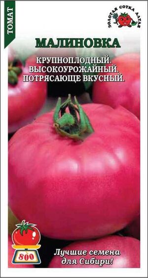 Томат Малиновка крупноплодный Золотая Сотка Алтая