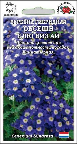 Вербена Обсешн Блю Виз Ай Золотая Сотка Алтая