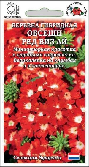 Вербена Обсешн Ред Виз Ай Золотая Сотка Алтая