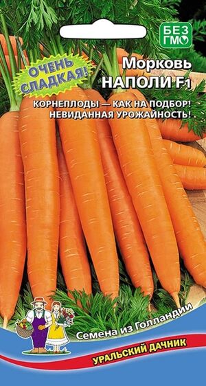Морковь Наполи F1 Уральский Дачник