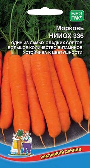 Морковь НИИОХ-336 Уральский Дачник