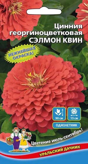 Цинния Сэлмон Квин георгиноцветковая Уральский Дачник