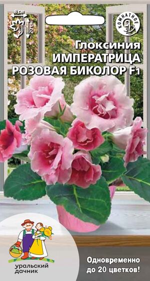 Глоксиния Императрица розовая биколор F1 Уральский Дачник