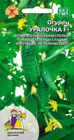 Огурец Уралочка F1 Уральский Дачник