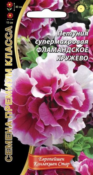 Петуния Фламандское кружево супермахровая Уральский Дачник