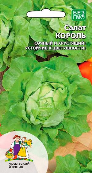 Салат Король Уральский Дачник
