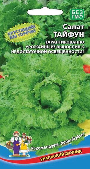 Салат Тайфун Уральский Дачник
