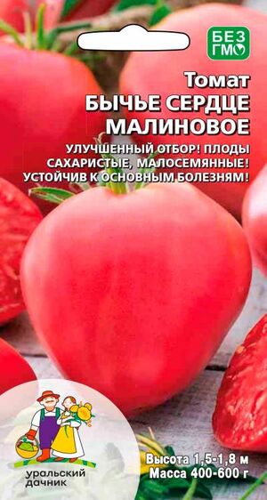 Томат Бычье Сердце Малиновое Уральский Дачник