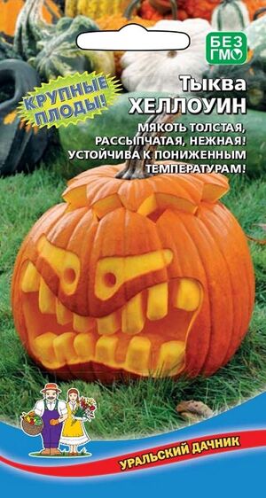 Тыква Хеллоуин  Уральский Дачник