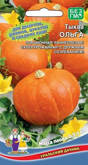 Тыква Ольга - крупноплодная Уральский Дачник