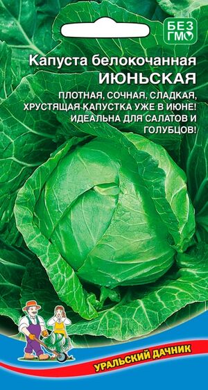 Капуста Июньская белокочанная Уральский Дачник