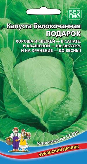 Капуста Подарок белокочанная Уральский Дачник