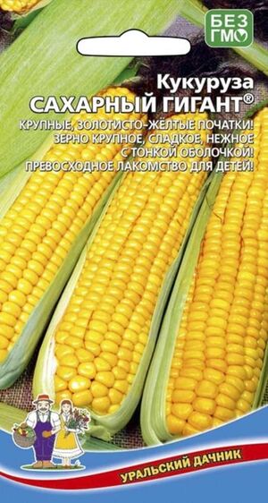 Кукуруза Сахарный гигант  Уральский Дачник