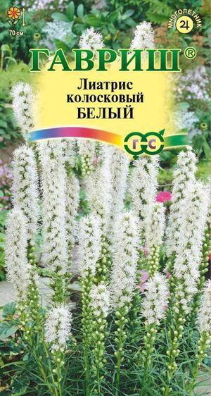 Лиатрис Белый Гавриш