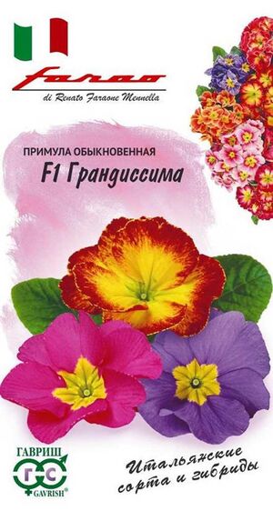 Примула Грандиссима F1 (обыкновенная грунтовая) смесь серия Фарао Гавриш