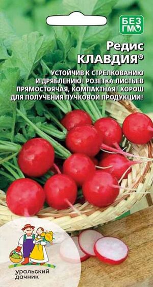 Редис Клавдия Уральский Дачник