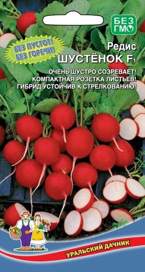 Редис Шустенок F1 Уральский Дачник