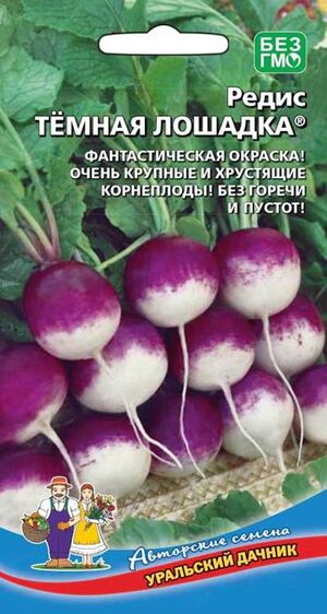 Редис Темная Лошадка Уральский Дачник