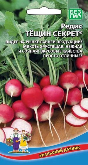 Редис Тещин Секрет Уральский Дачник