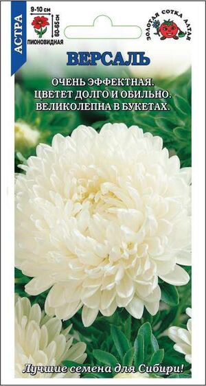 Астра Версаль белая, пионовидная Золотая Сотка Алтая