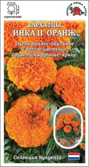 Бархатцы (Тагетес) Инка II Оранж Золотая Сотка Алтая