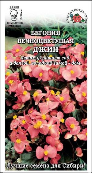 Бегония Вечноцветущая Джин Золотая Сотка Алтая