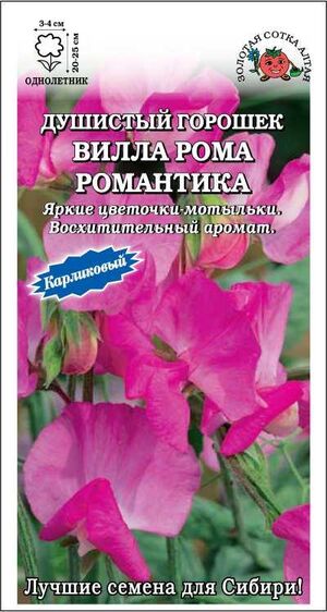 Душистый горошек Вилла Рома Романтика Золотая Сотка Алтая