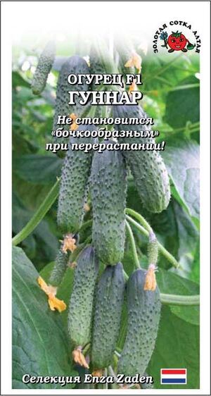 Огурец Гуннар F1 Золотая Сотка Алтая
