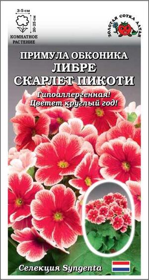 Примула Обконика Либре Скарлет Пикоти Золотая Сотка Алтая