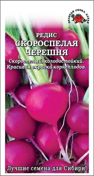 Редис Скороспелая Черешня Золотая Сотка Алтая