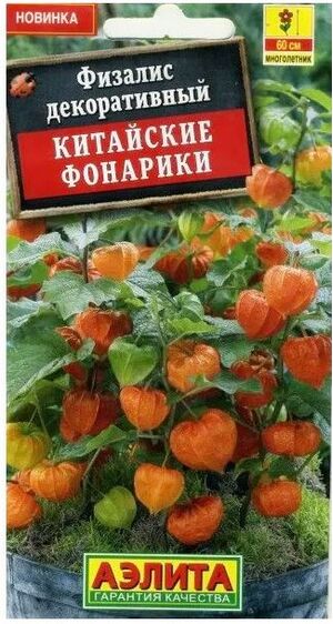 Физалис Китайские Фонарики многолетник Аэлита