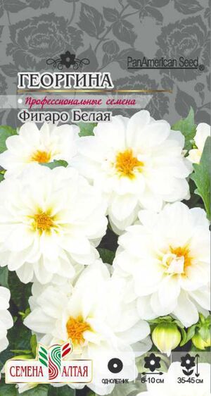Георгина Фигаро Белая махровая Семена Алтая