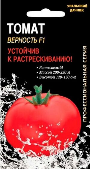 Томат Верность F1  Уральский Дачник