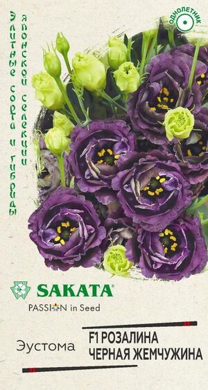 Эустома (Лизиантус) Розалина Черная жемчужина F1 крупноцветковая    серия Саката    Гавриш