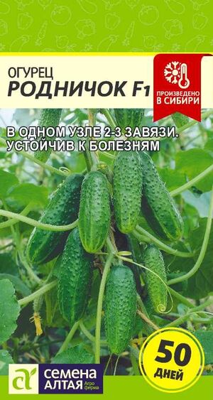 Огурец Родничок F1 Семена Алтая