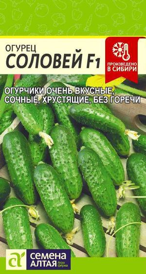 Огурец Соловей F1 Семена Алтая