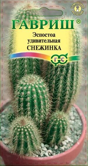 Эспостоа шерстистая (Кактус) Снежинка  Гавриш