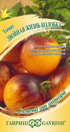 Томат Двойная Жизнь Колобка пурпурно-янтарный биколор Гавриш