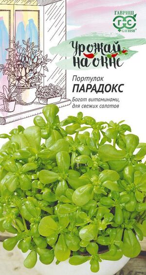 Портулак Парадокс серия Урожай на окне Гавриш