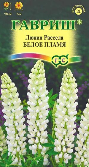 Люпин Белое Пламя Гавриш
