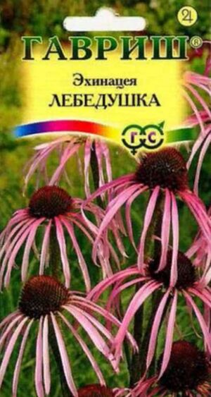Эхинацея Лебедушка серия Устойчив к Заморозкам Гавриш