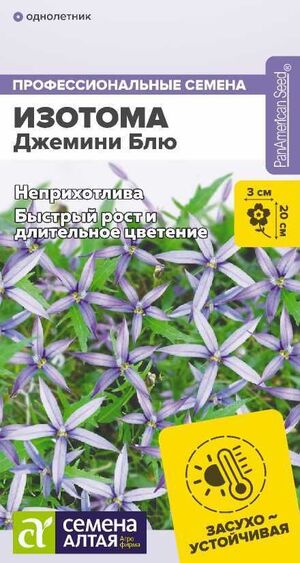 Изотома Джемини Блю Семена Алтая